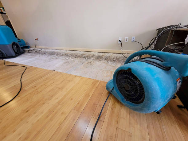 Professional Water Damage Repair technician working in Richardson, TX